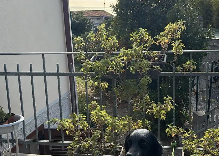 Fontana 56 Marina dʼAndora