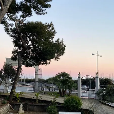 Fontana 56 *